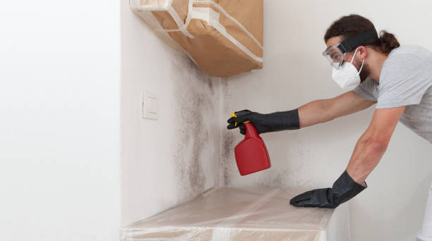 Professional Basement Mold Remediation technician working in Lignum, VA