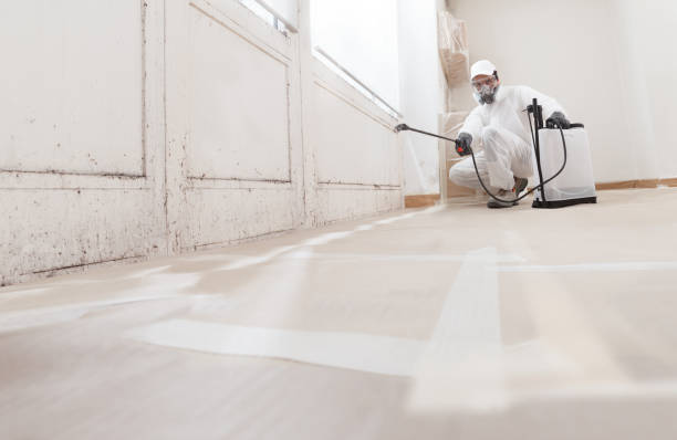 24/7 Emergency Basement Mold Remediation experts in Lignum, VA